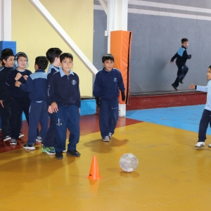 Día de la Actividad Física